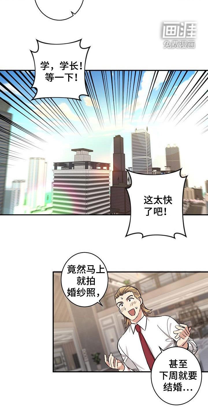 第11章：结婚