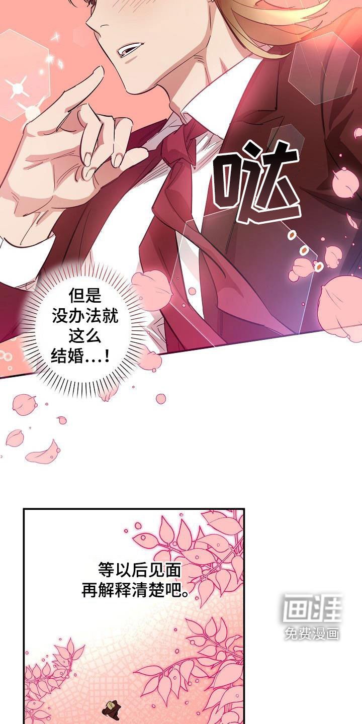 第11章：结婚