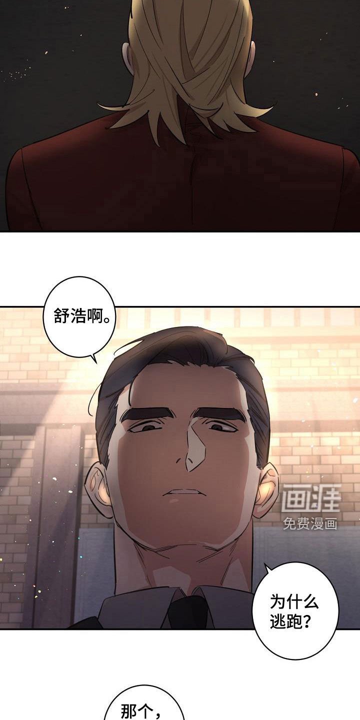 第12章：错觉