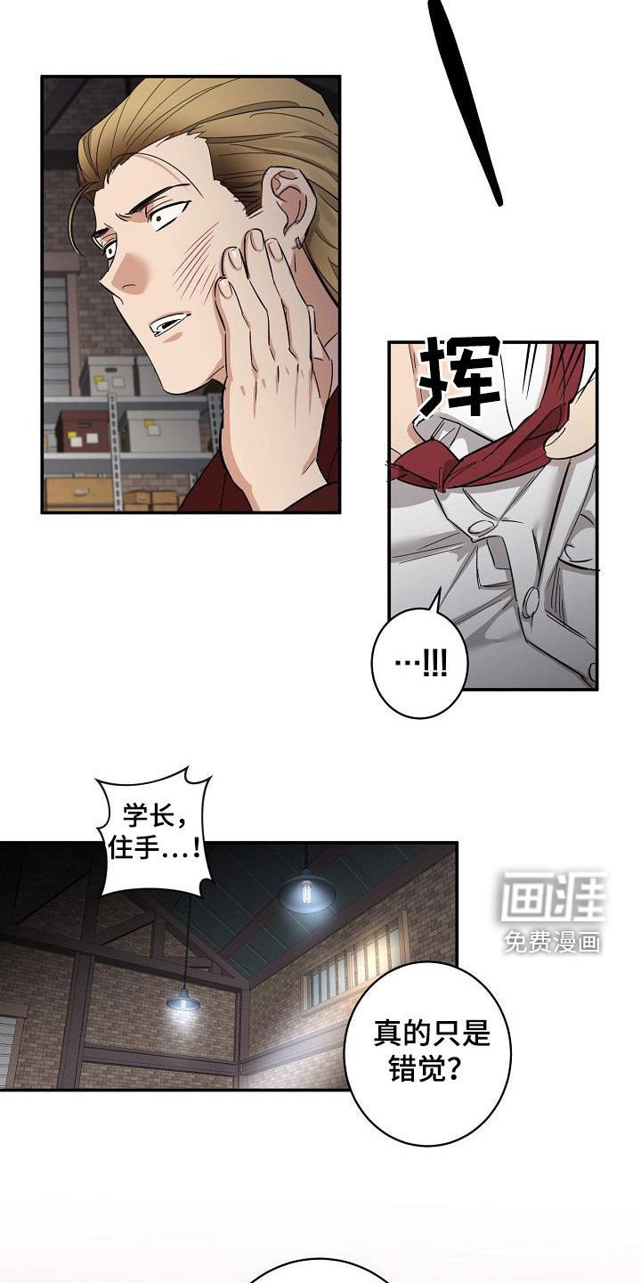 第12章：错觉