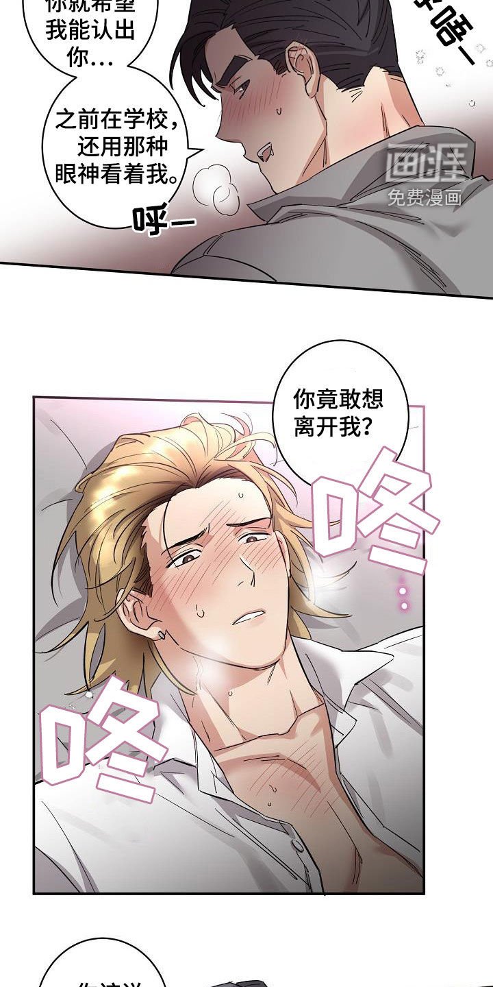 第12章：错觉