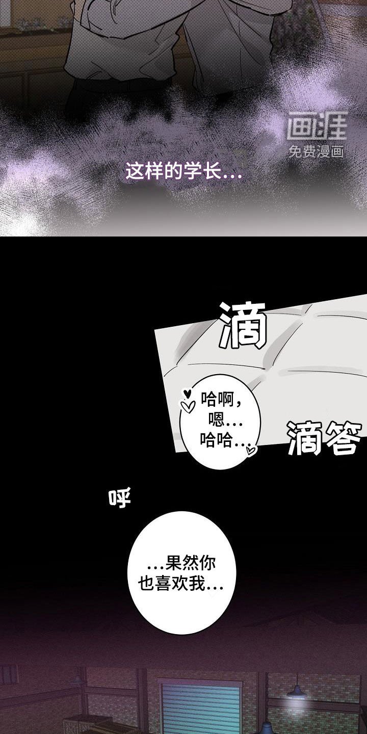 第12章：错觉