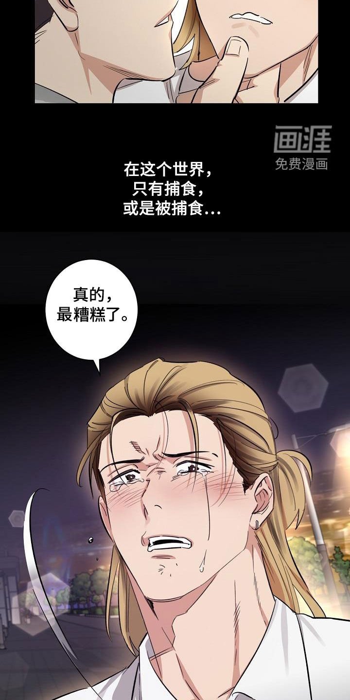 第18章：爱（完结）
