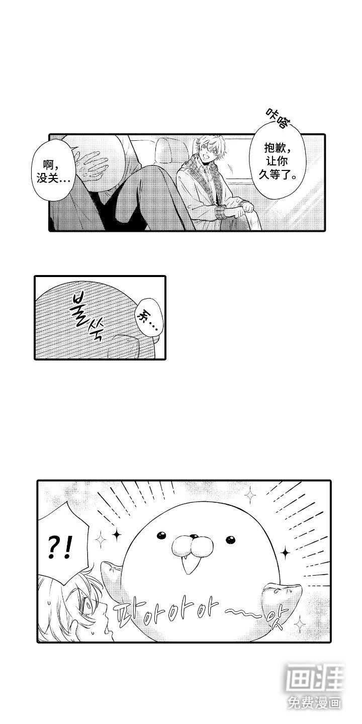 第3章：玩偶
