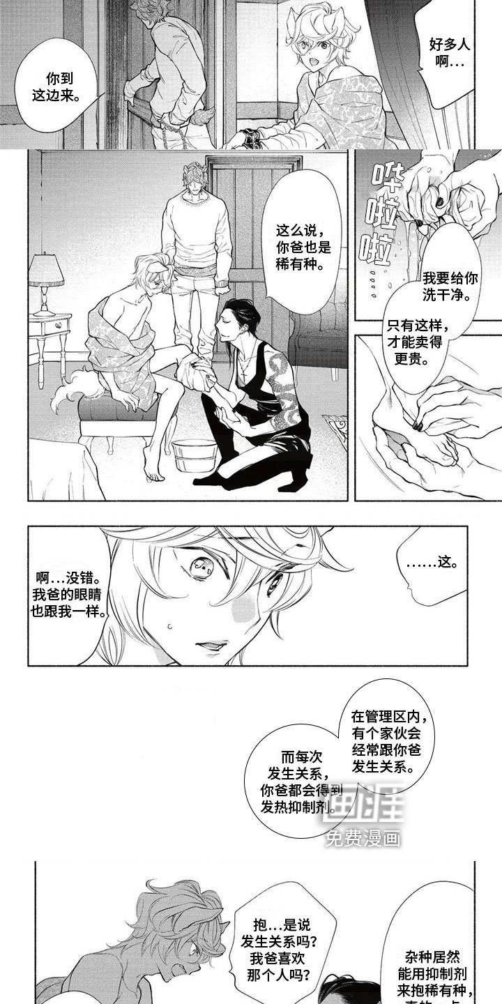 第10章：拍卖