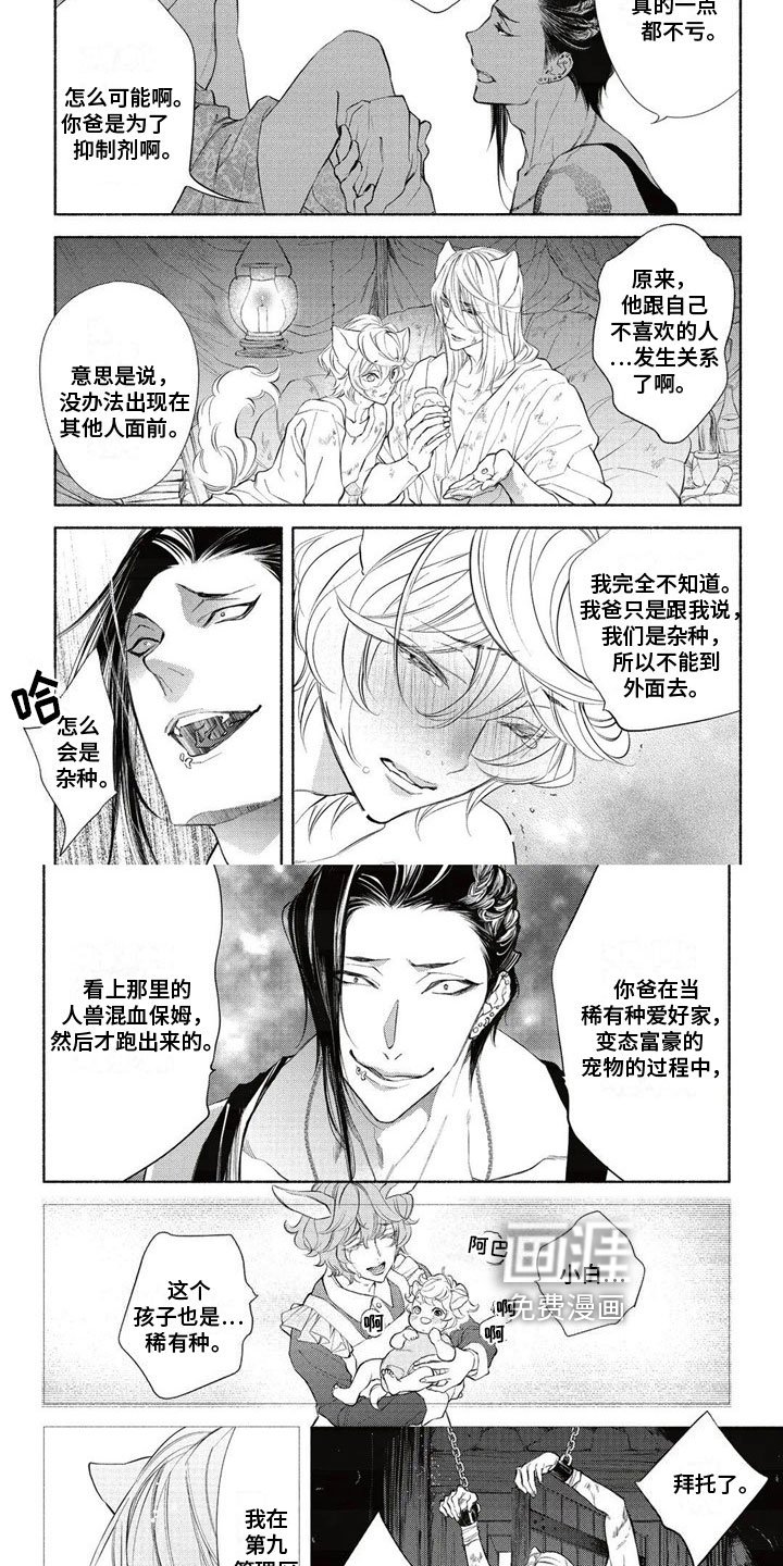 第10章：拍卖