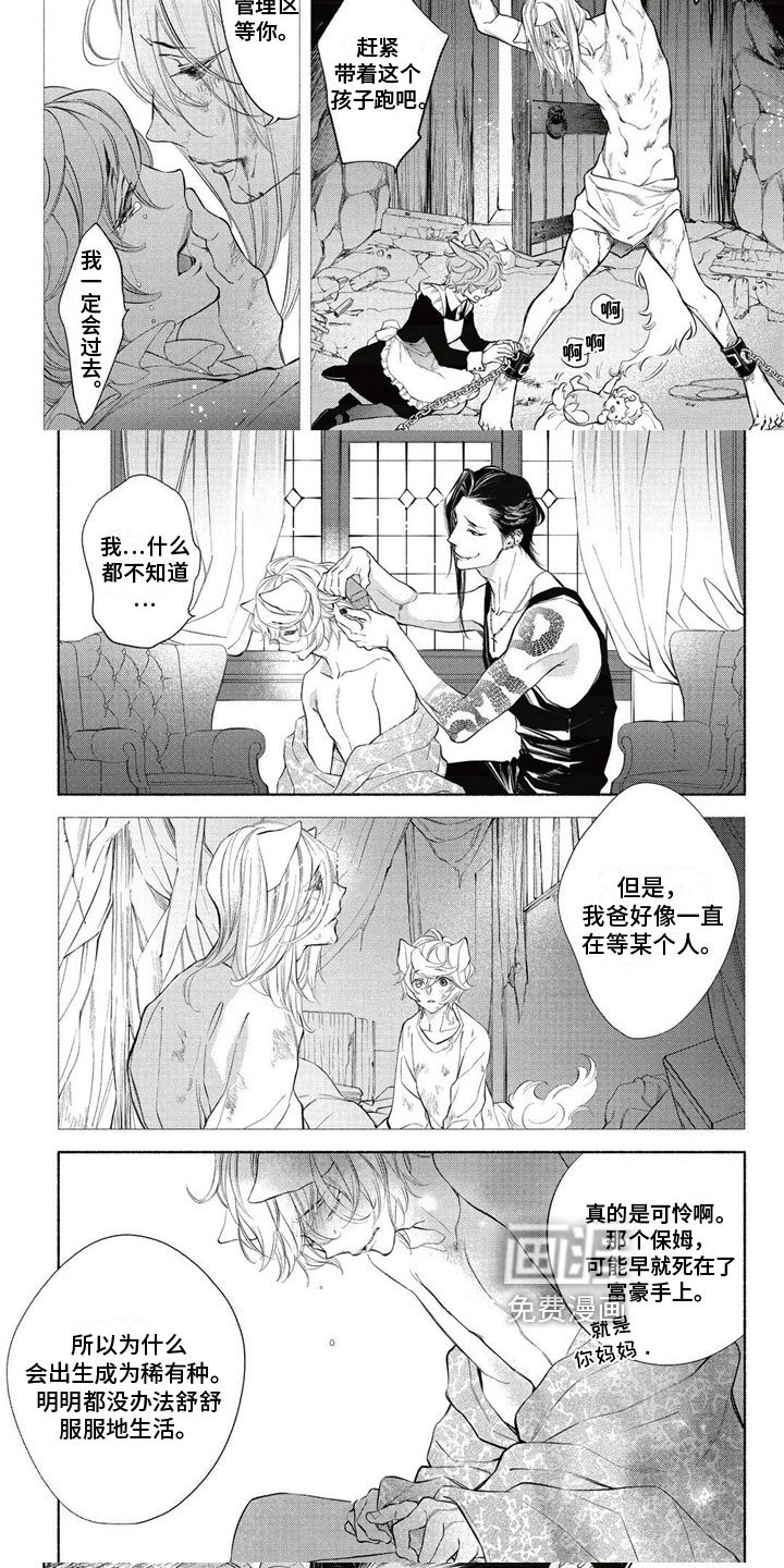 第10章：拍卖