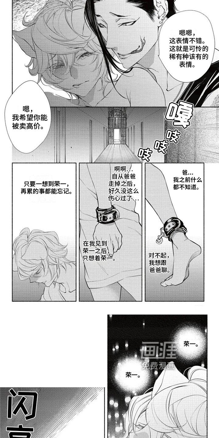 第10章：拍卖