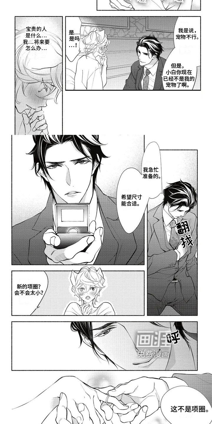 第12章：誓言