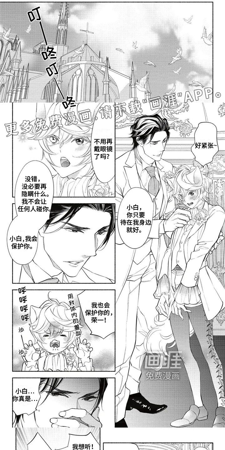第13章：介绍