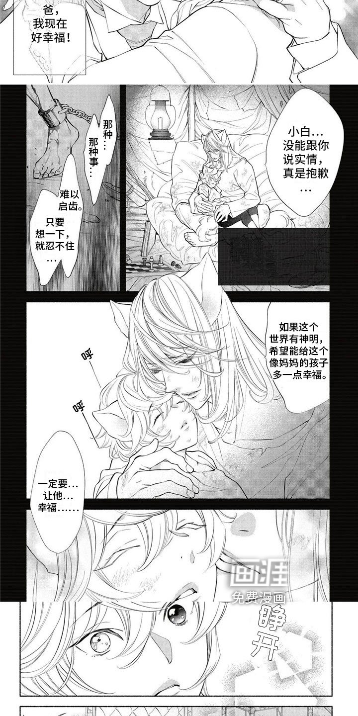 第13章：介绍