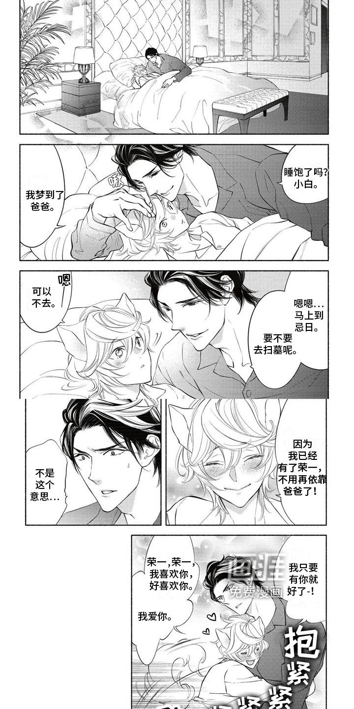 第13章：介绍