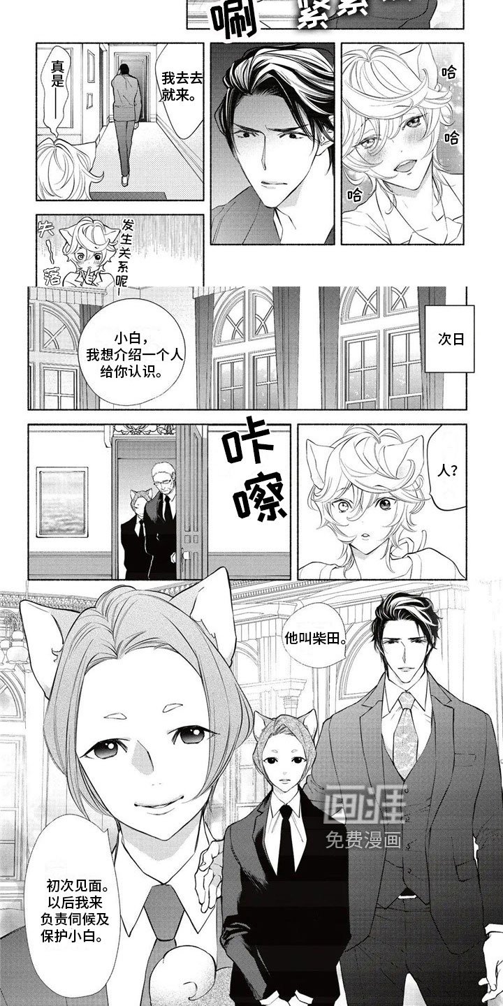 第13章：介绍