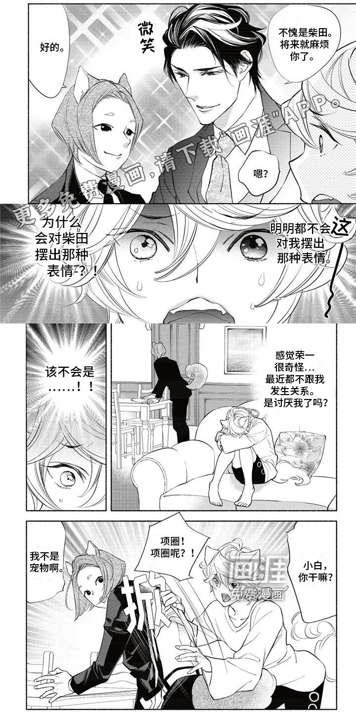 第14章：回答