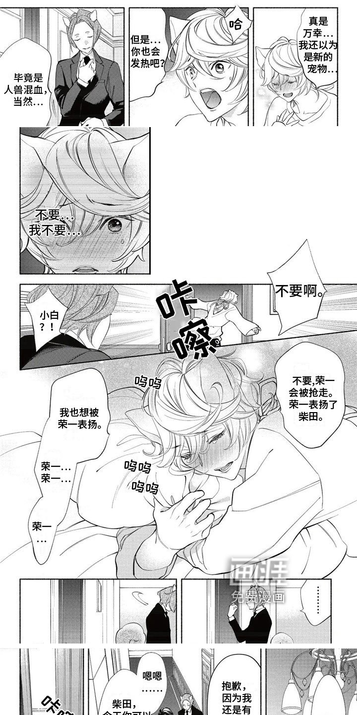 第14章：回答