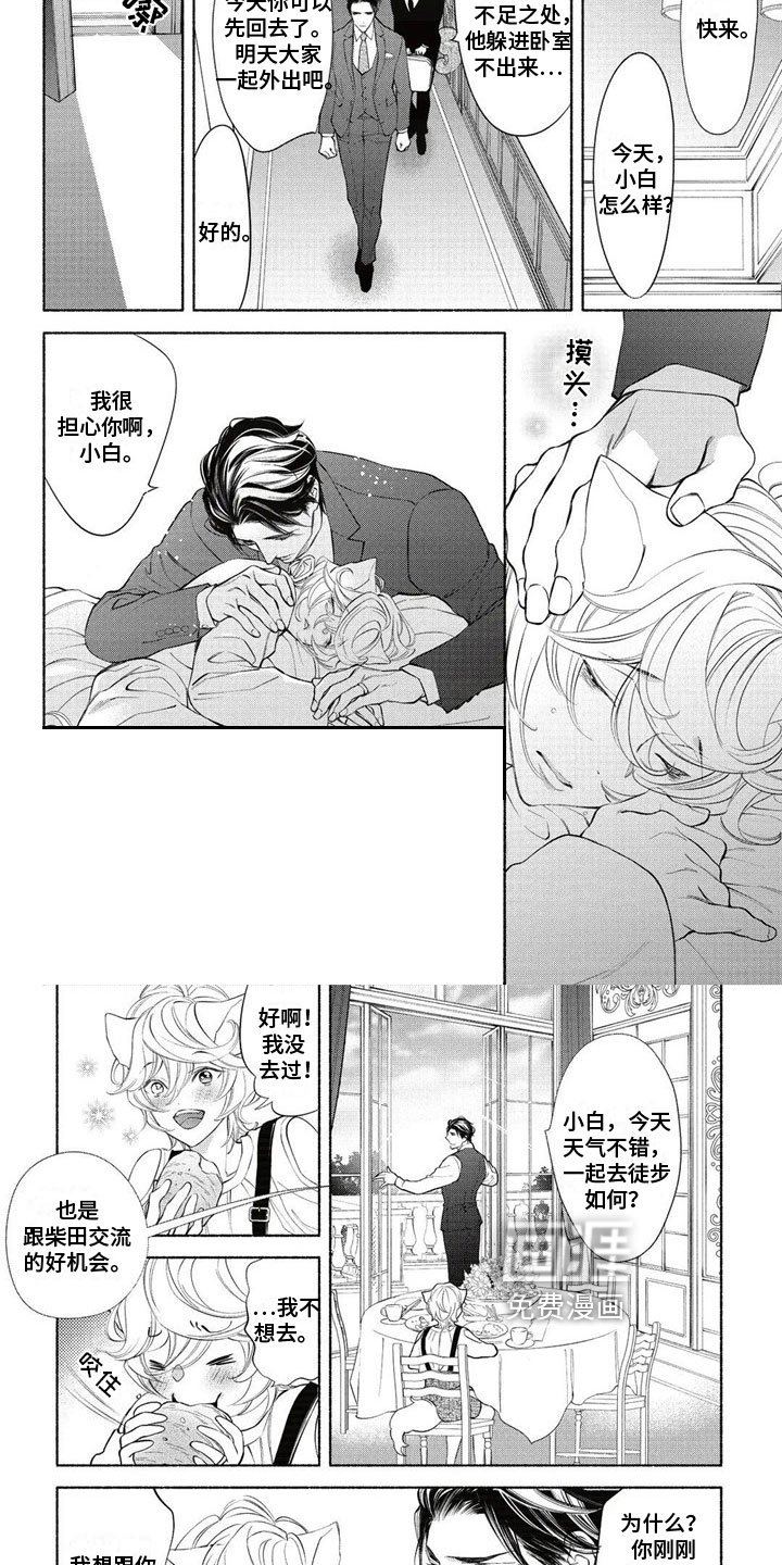 第14章：回答