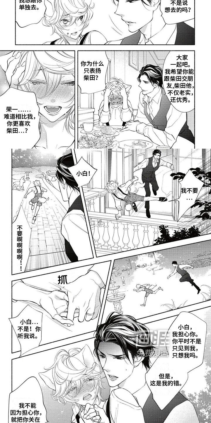 第14章：回答