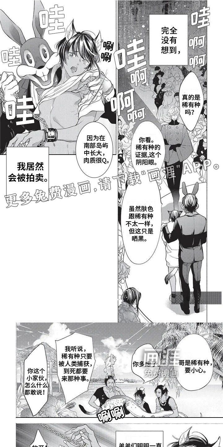 第16章：远离故乡