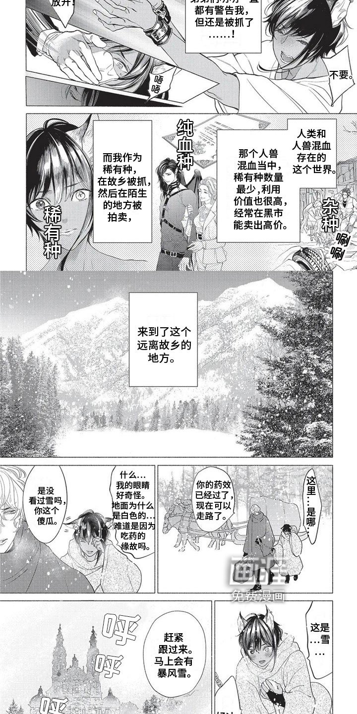 第16章：远离故乡