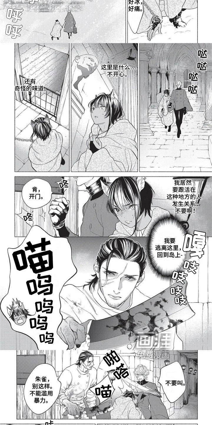 第16章：远离故乡