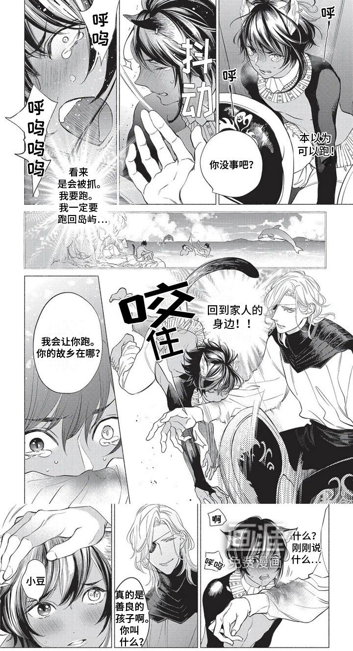 第16章：远离故乡