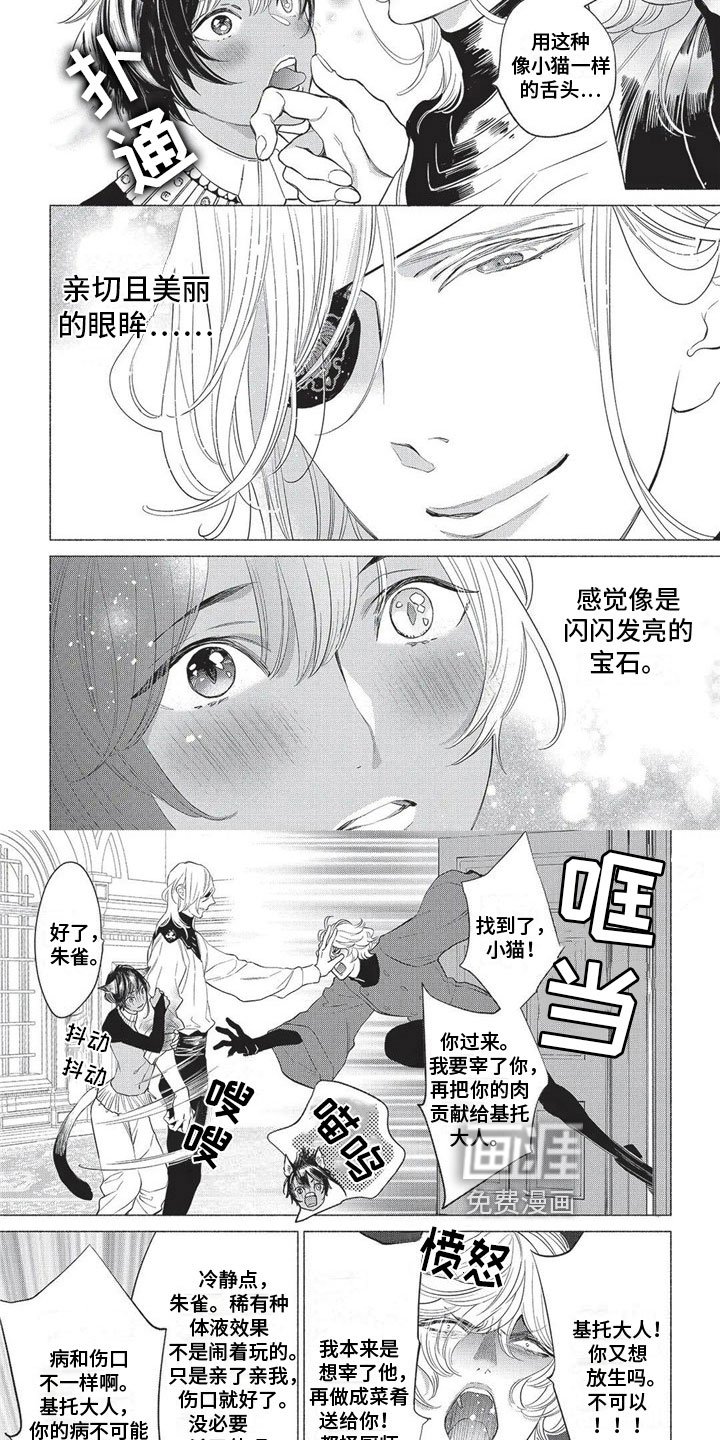 第17章：欺骗