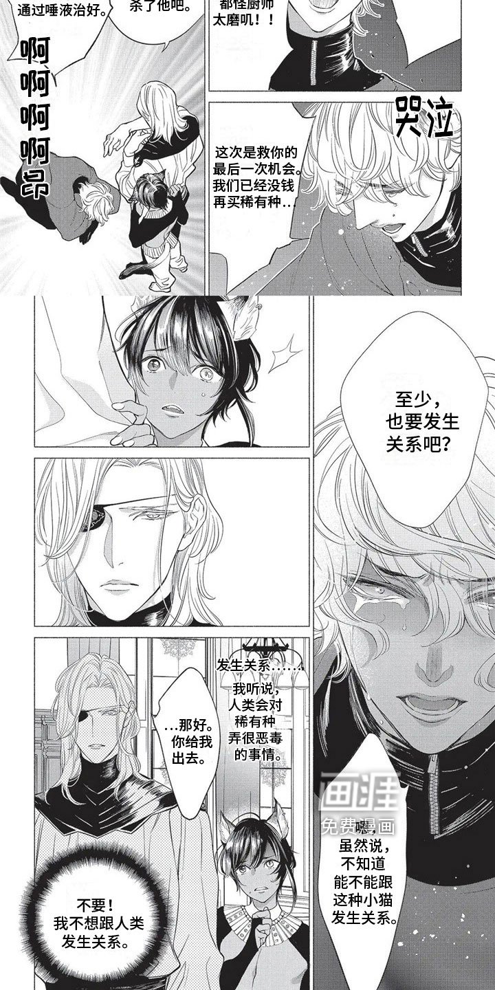 第17章：欺骗