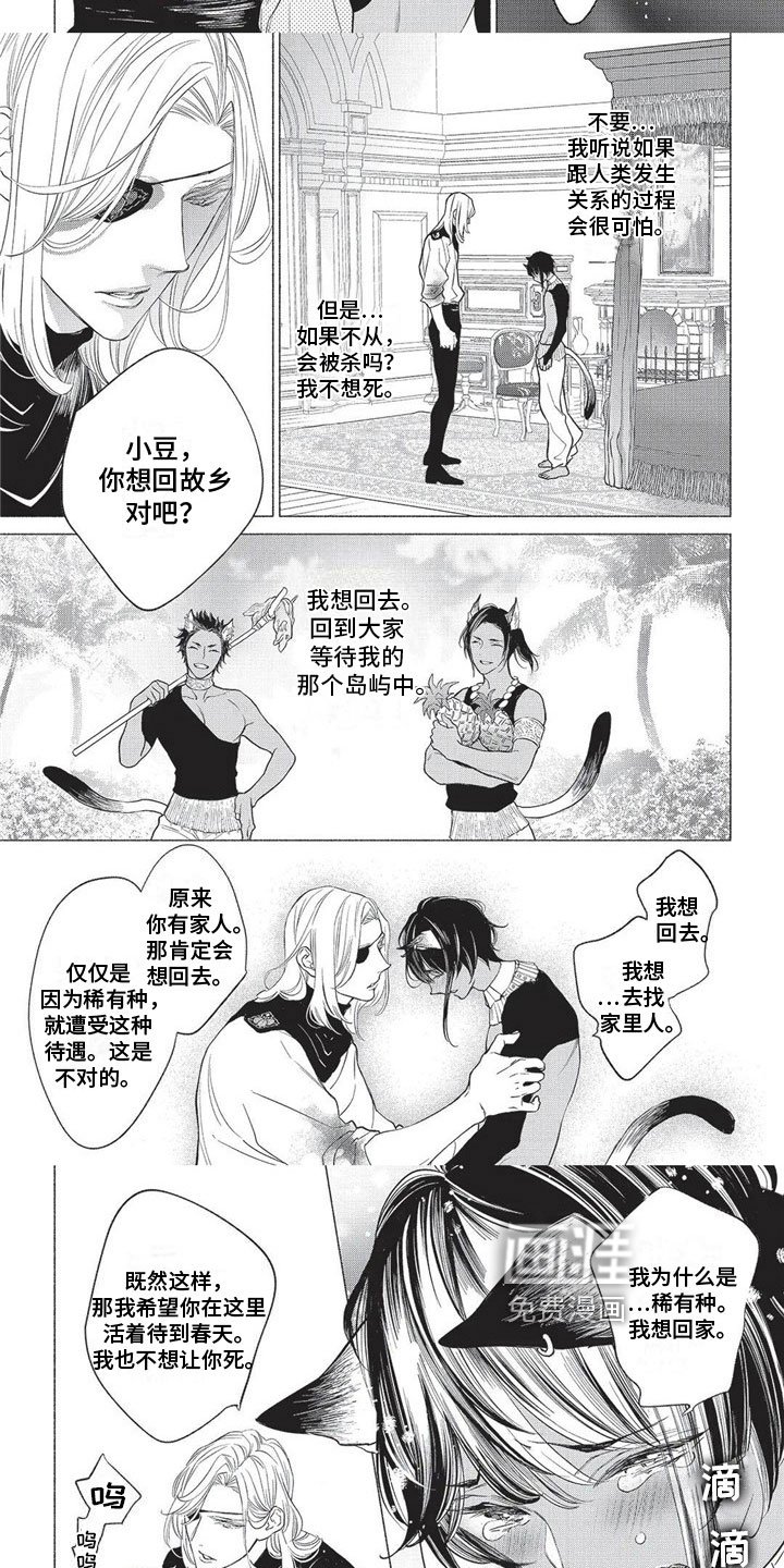 第17章：欺骗