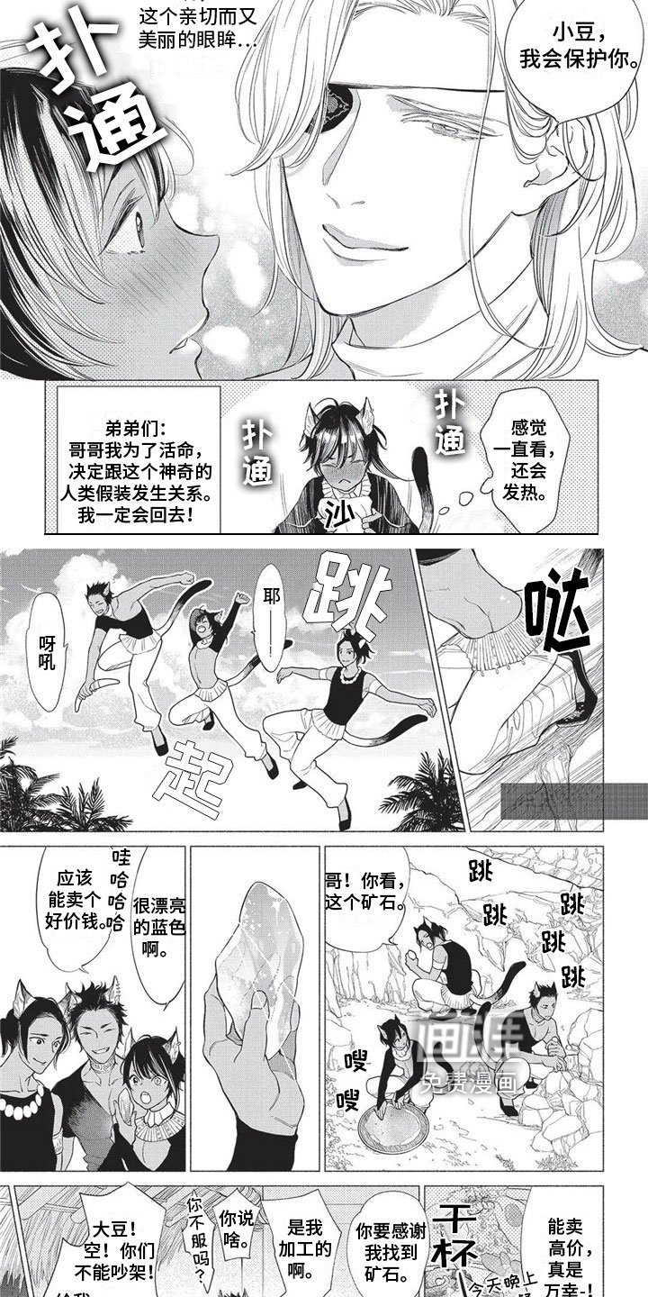 第17章：欺骗