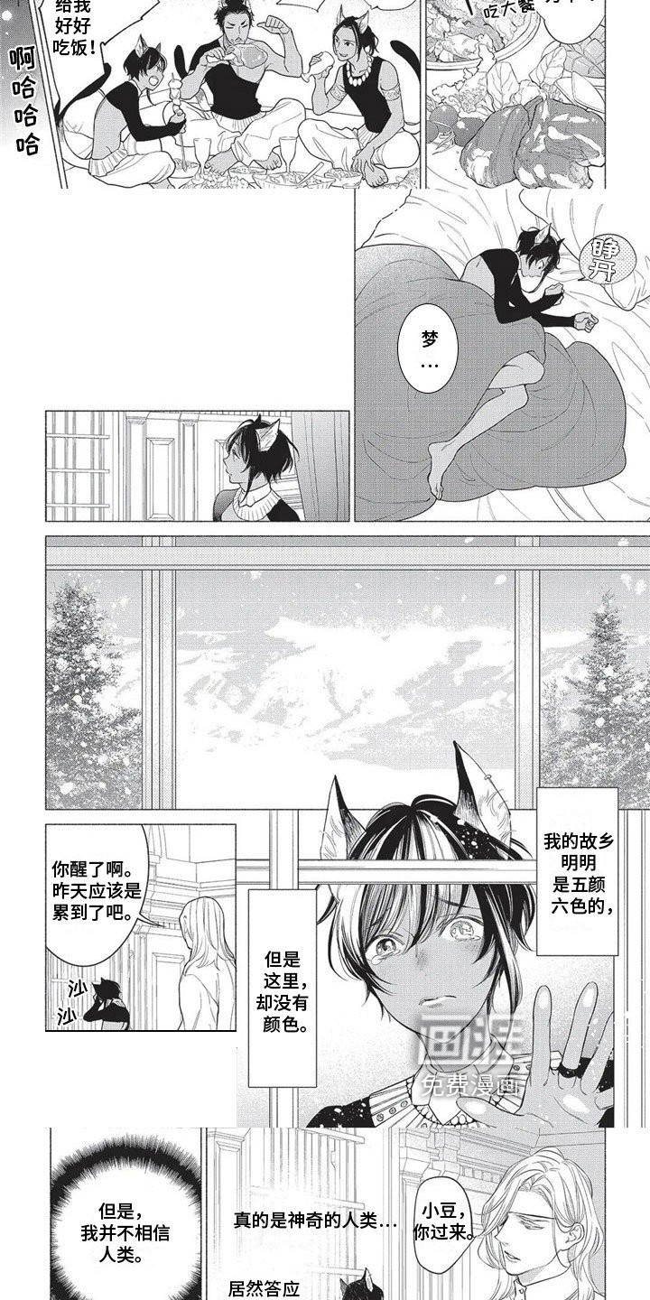 第17章：欺骗