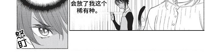 第17章：欺骗