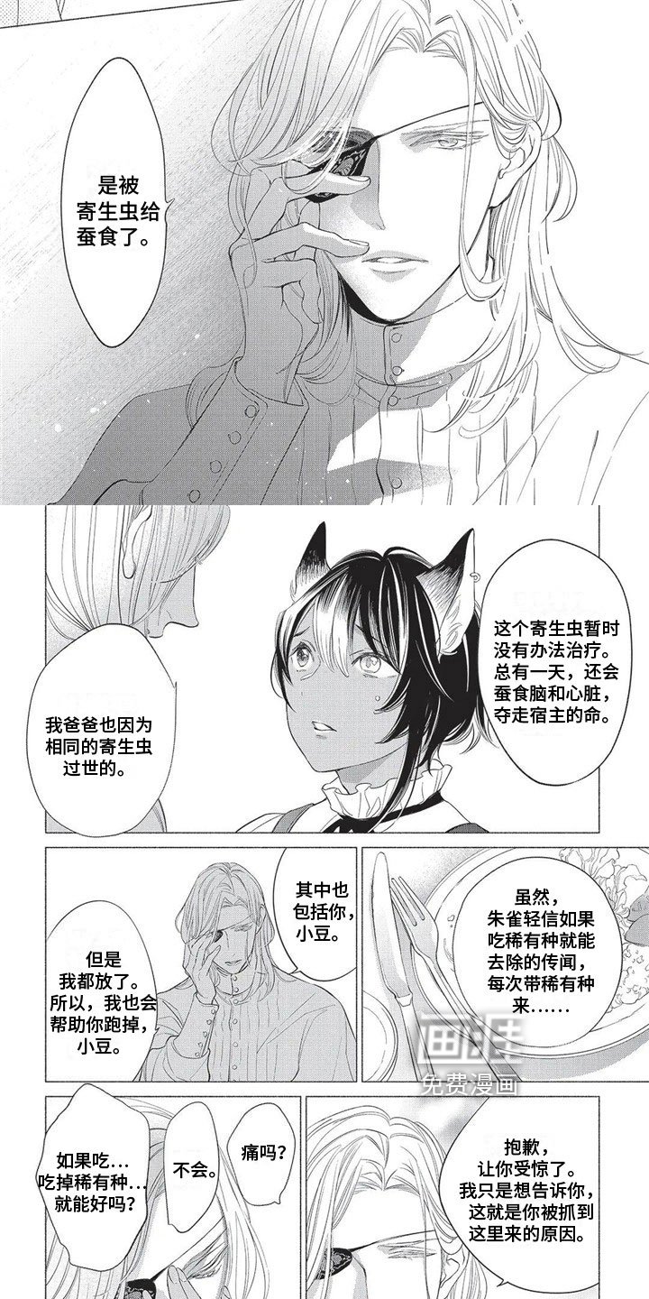 第18章：原因
