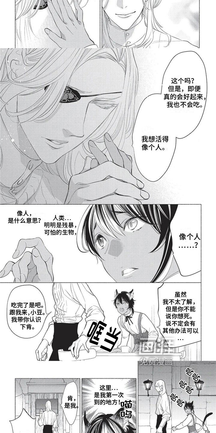第18章：原因
