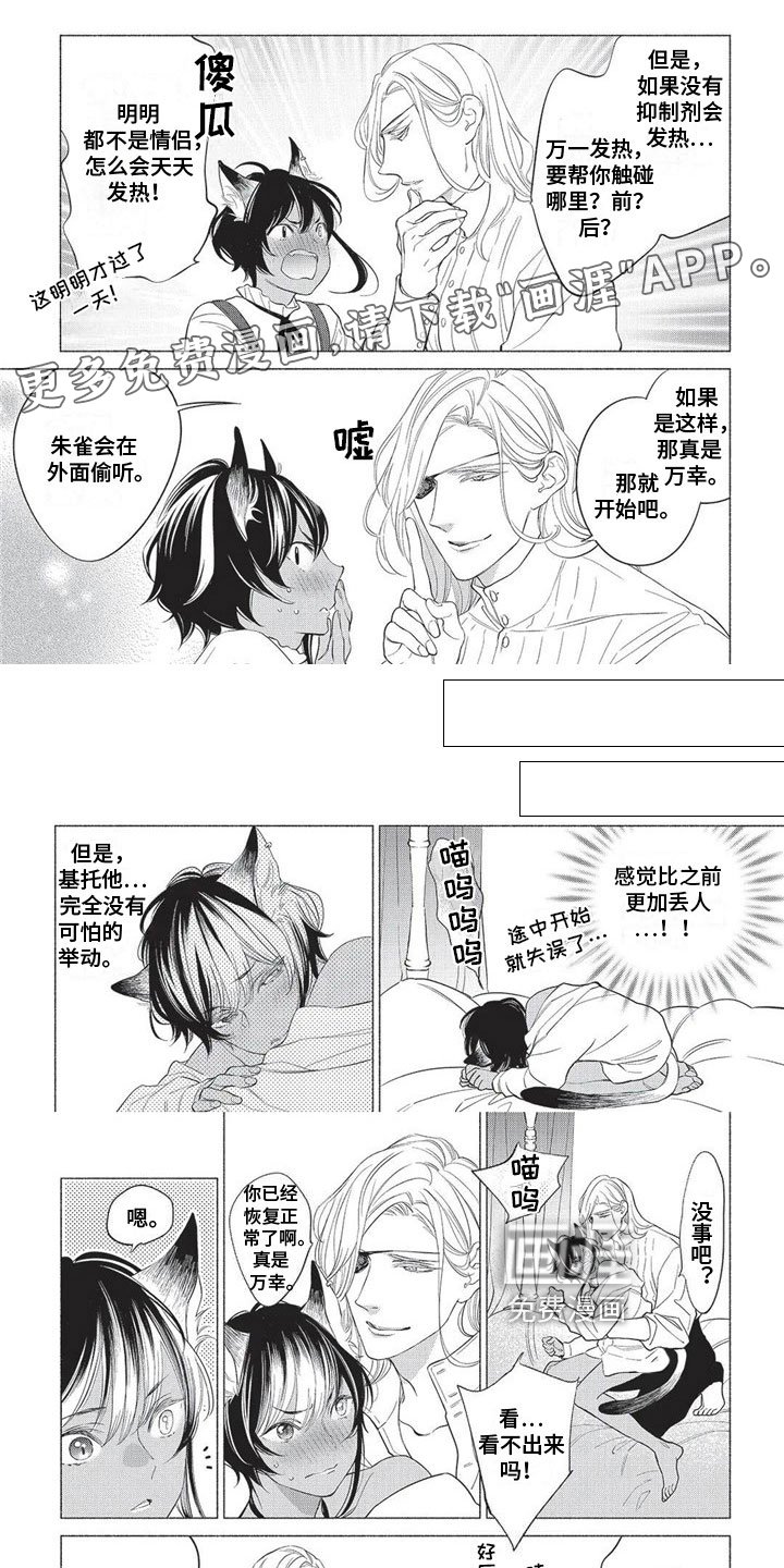第19章：散步