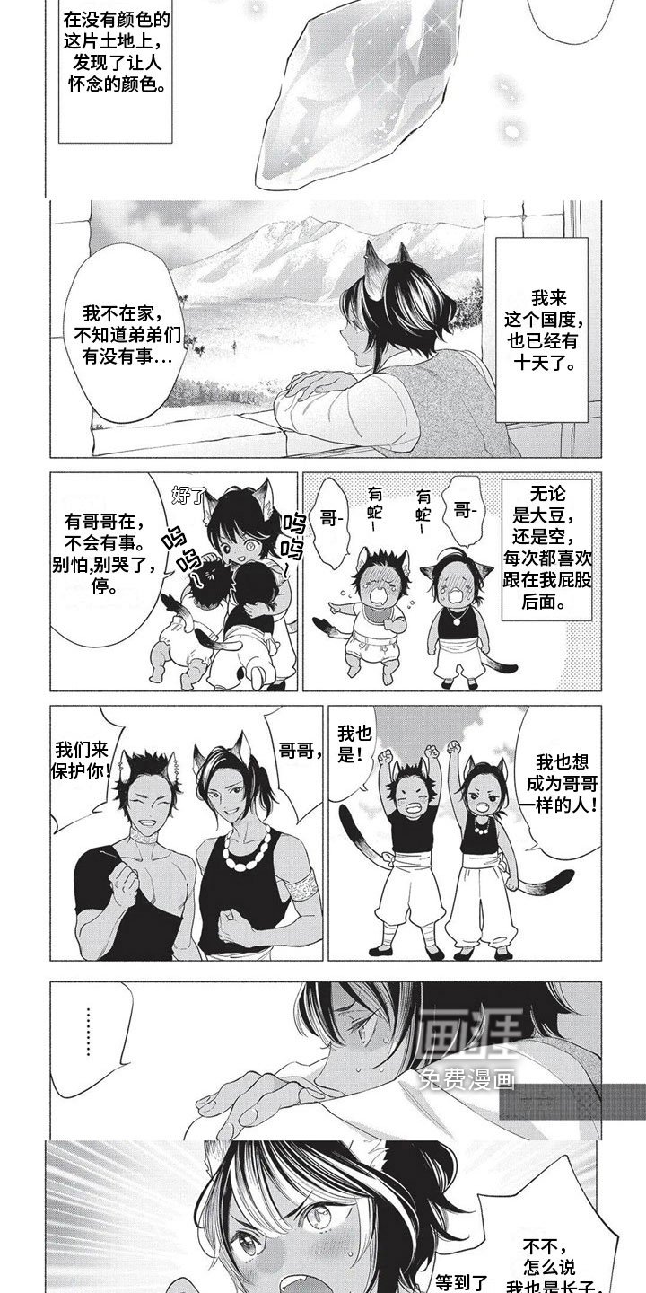 第19章：散步
