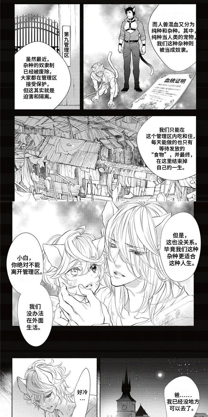 第2章：带回家