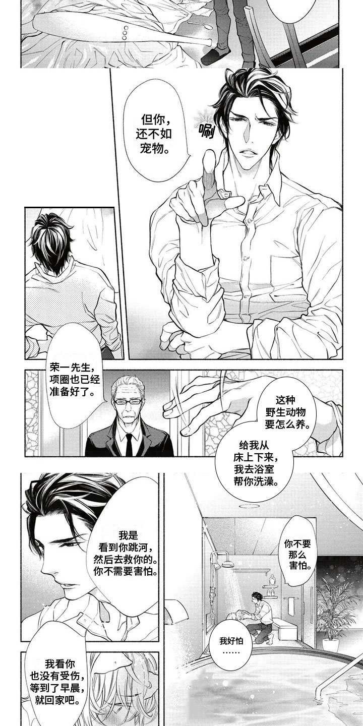 第2章：带回家