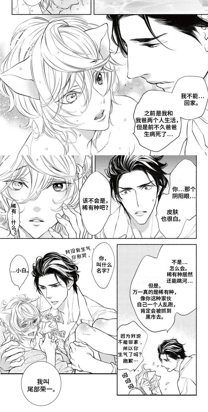 第2章：带回家