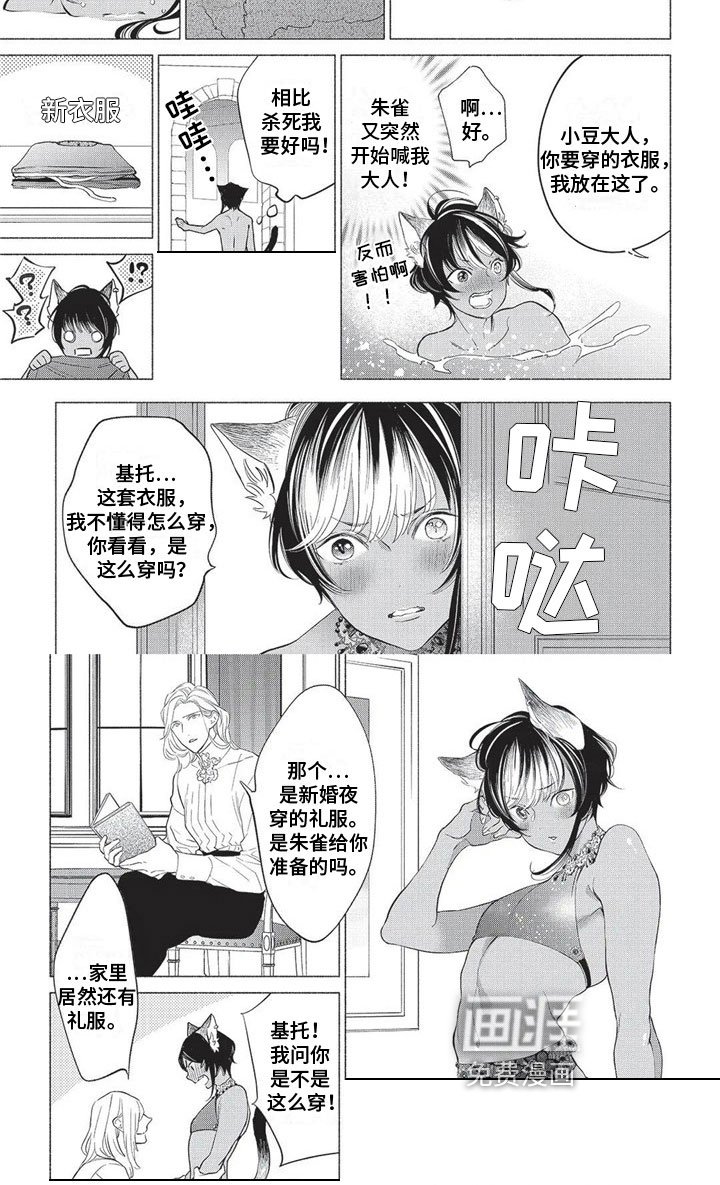 第26章：感谢