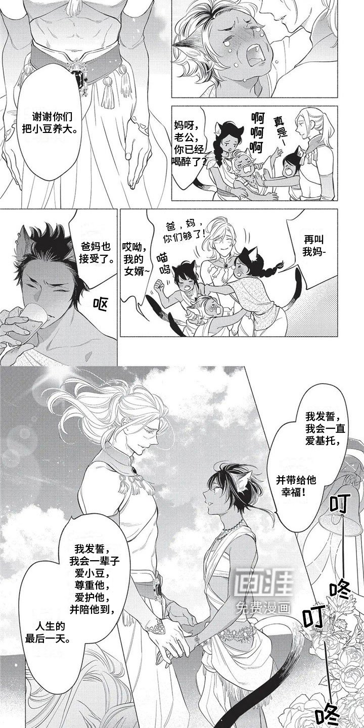 第29章：【番外】结婚