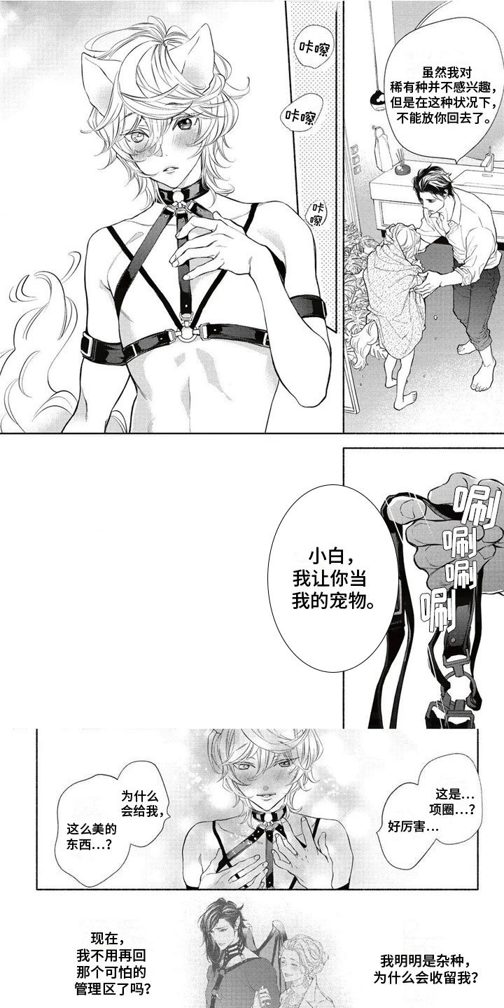 第3章：主人