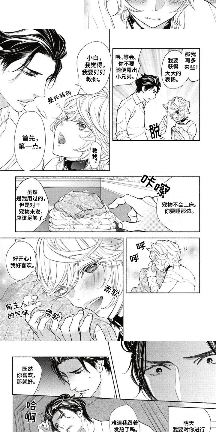 第3章：主人