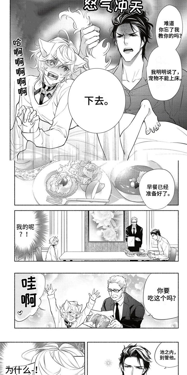 第3章：主人