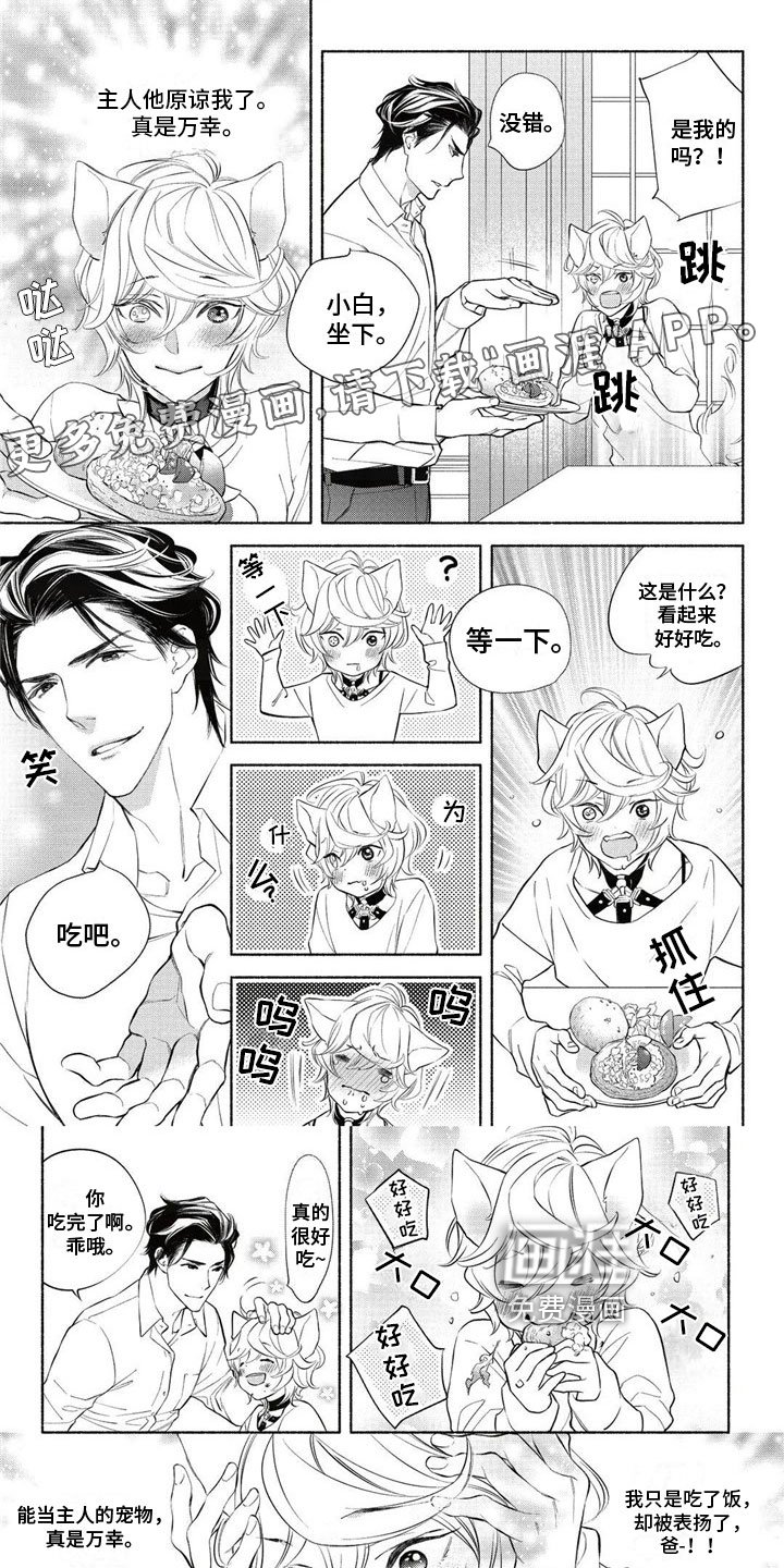 第4章：约定