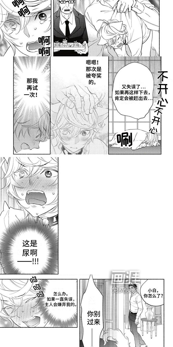 第4章：约定