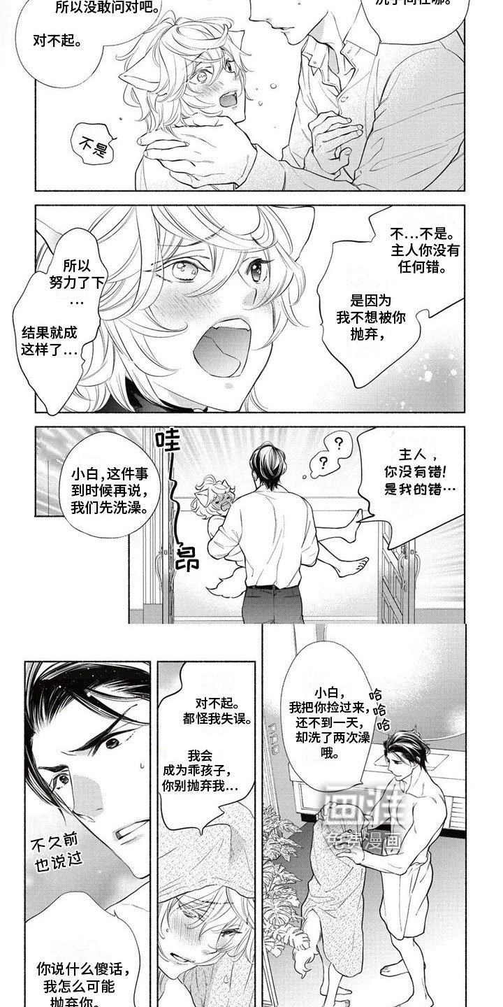 第4章：约定