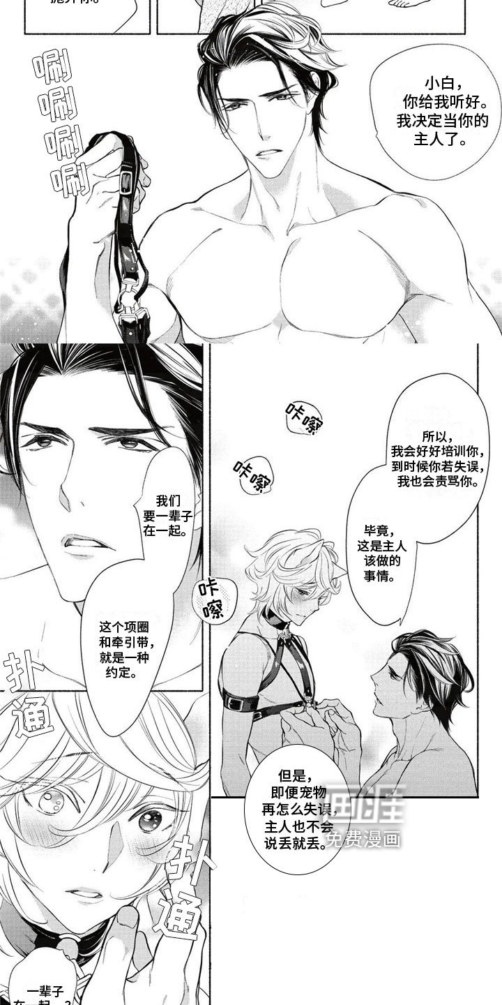 第4章：约定