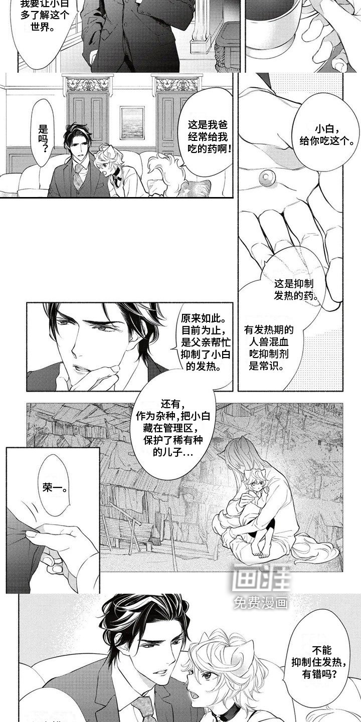 第5章：教育