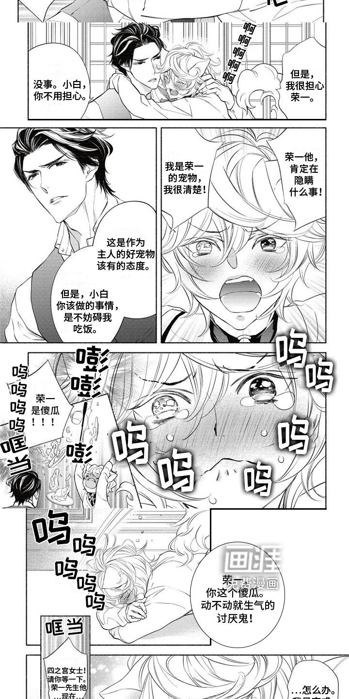 第8章：阴谋