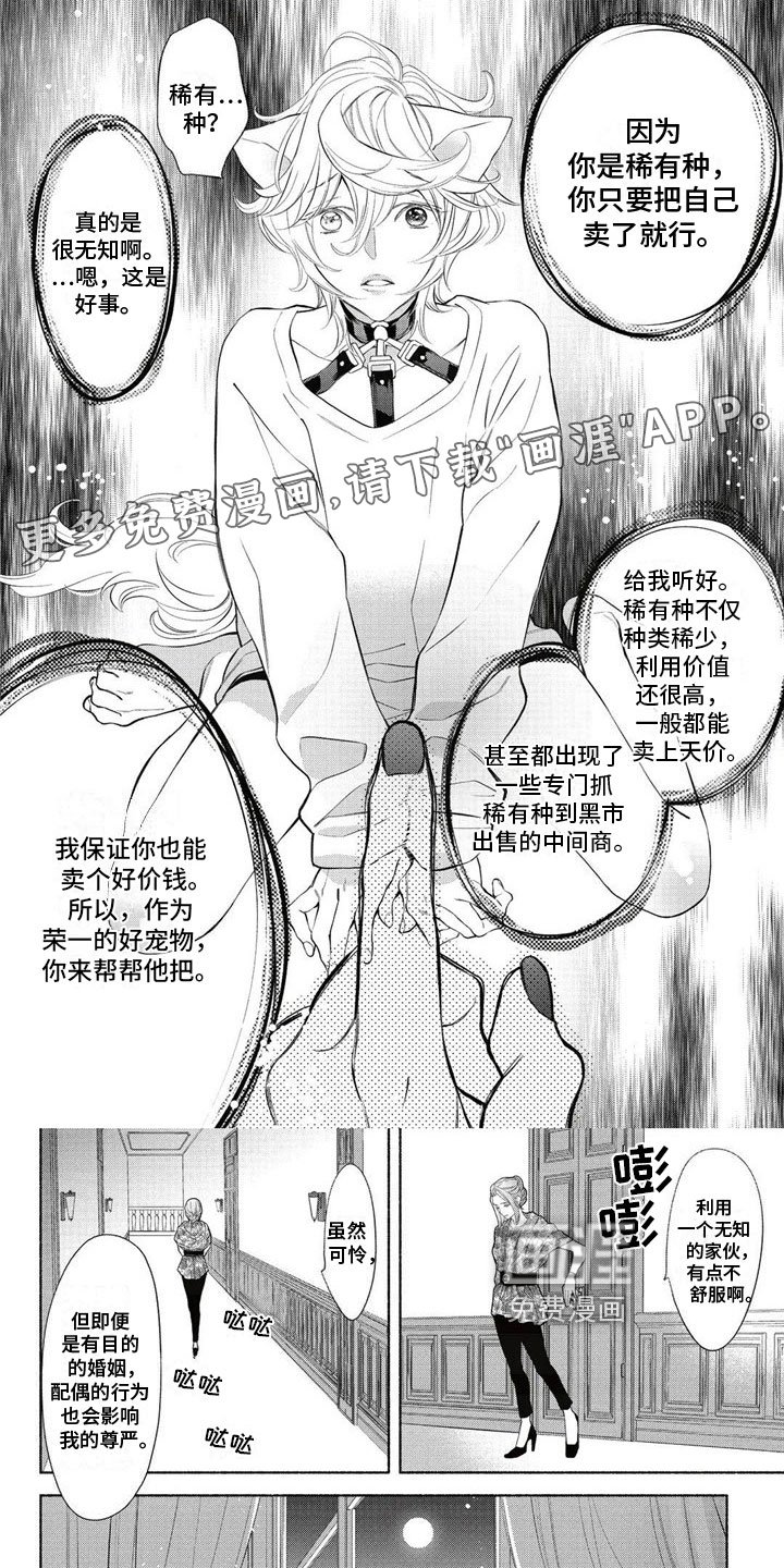 第9章：想法